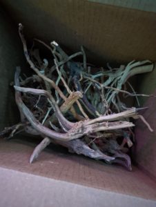a box of miscellaneous spiderwood driftwood